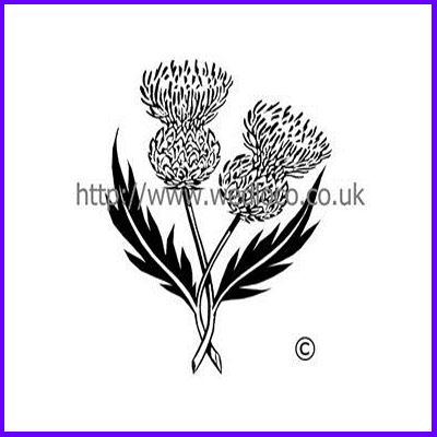You can order Double Scottish Thistle