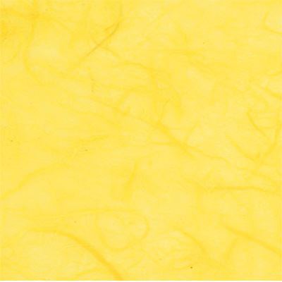 You can order Yellow Mulberry Silk Paper